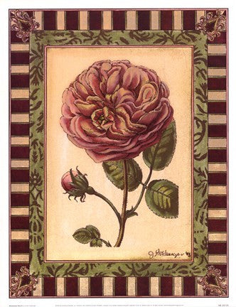 Renaissance Rose II