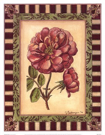 Renaissance Rose I