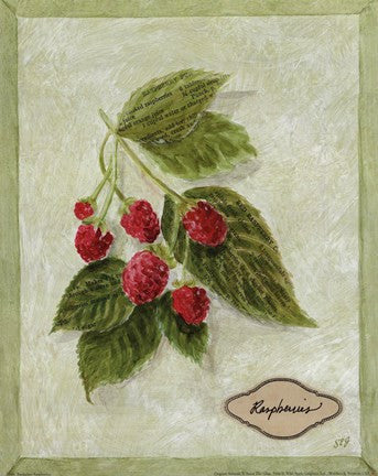 Bookplate Raspberries