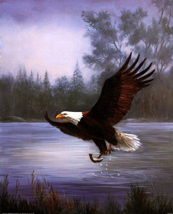 Eagle Fishing