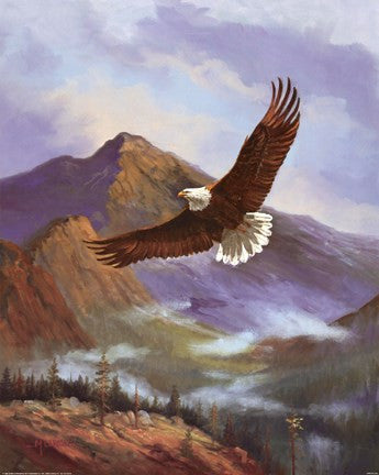 Eagle Gliding