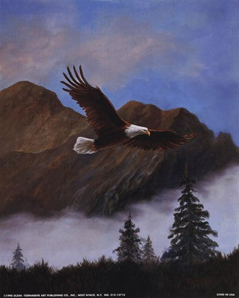 Eagle Soaring