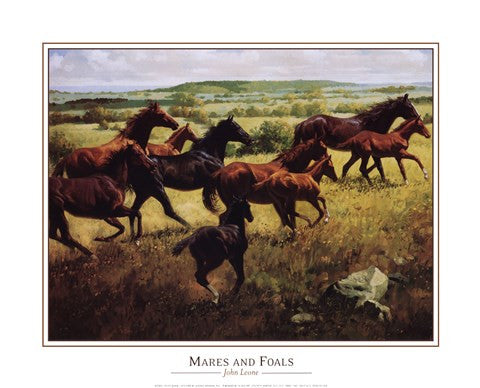 Mares Foals