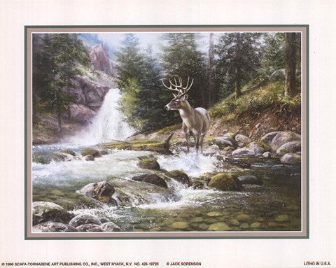 Bucks Near Waterfall