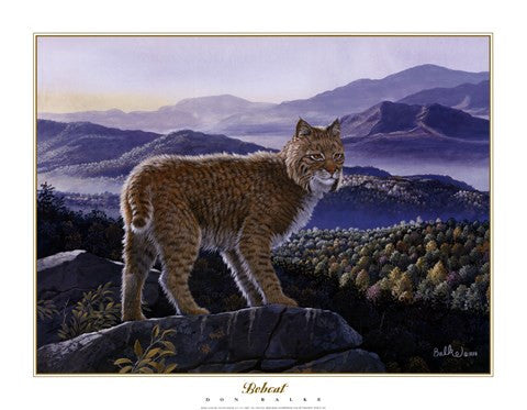 Bobcat