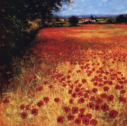 Field Of Red And Gold