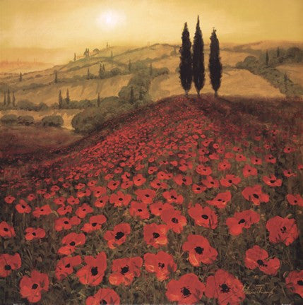 Poppy Field