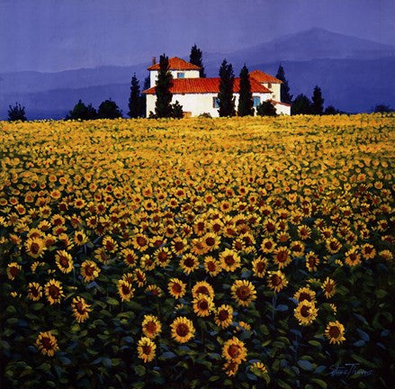 Sunflowers Field