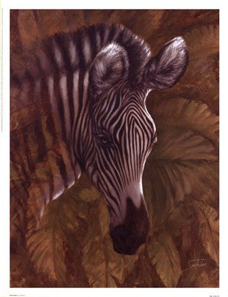 Safari Zebra