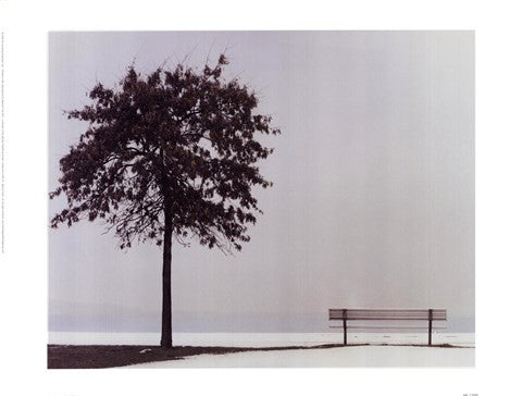 Bench: Oyster Bay, NY