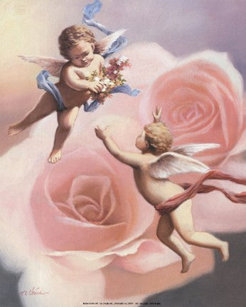 Cherubs' Rose