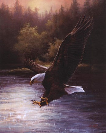 Eagle Prey