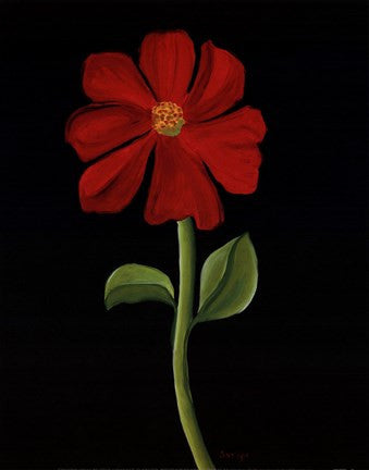 Red Cosmos