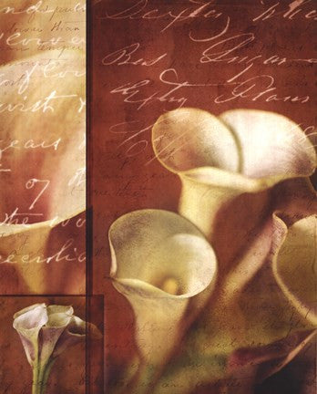 Calla Composite II