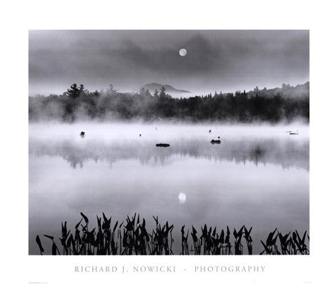 Lake Flower Moonset