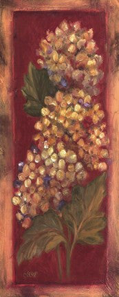 Hydrangeas On Red II