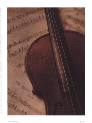 Violin II