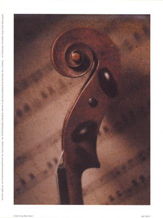 Violin III