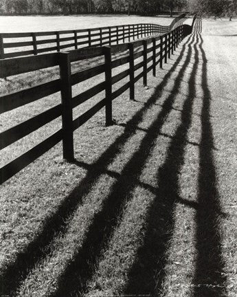 Fences And Shadows, Florida