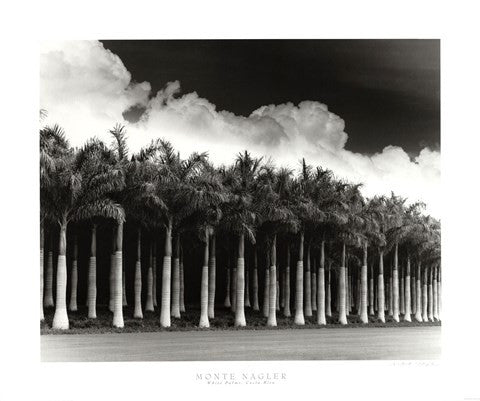 White Palms, Costa Rica