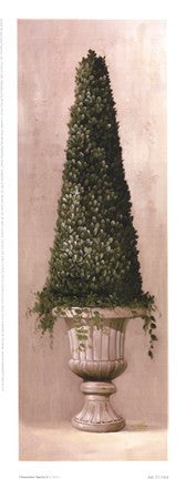 Florentine Topiary ll