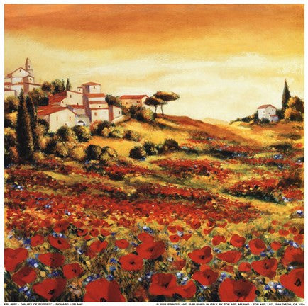 Valley Of Poppies