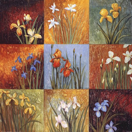 Iris Fields I