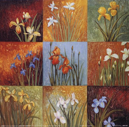 Iris Fields I