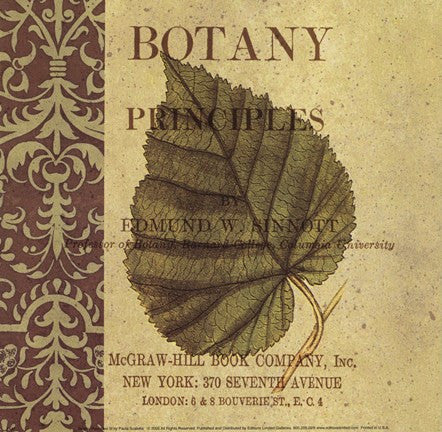 Botany Principles III