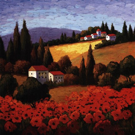 Tuscan Poppies