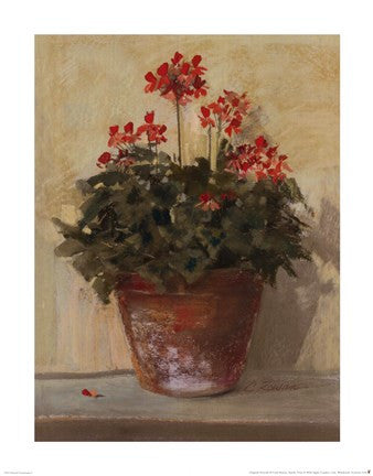 Potted Geraniums I