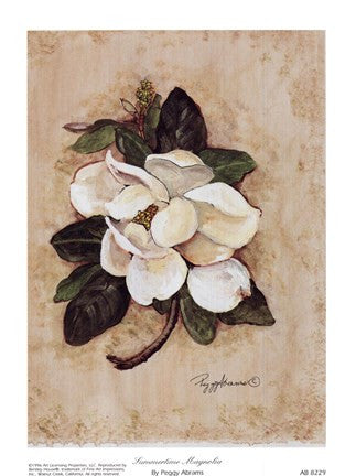 Summertime Magnolia