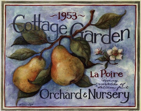 Cottage Garden II