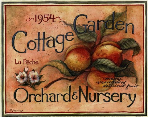 Cottage Garden IV