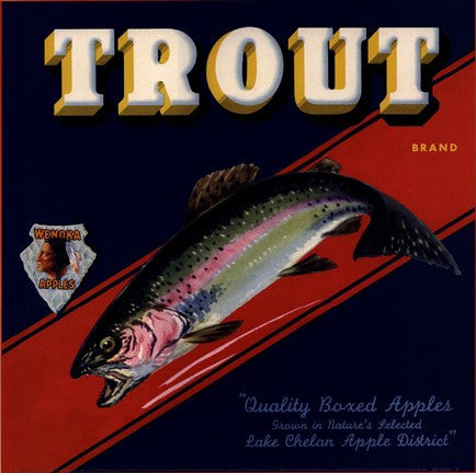 Trout