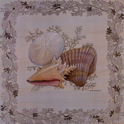 Pastel Shell I