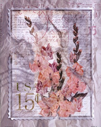 Love Letter Gladioli