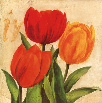 Red, Orange, Yellow Tulips