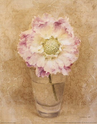 Scabiosa Blossom In Glass