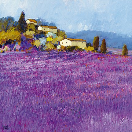 Wild Lavender, Provence