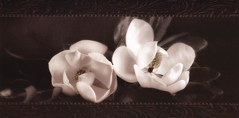 Soft Magnolias I