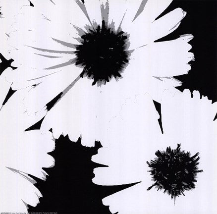 Bw Daisies I