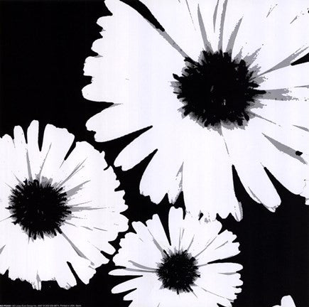 Bw Daisies II