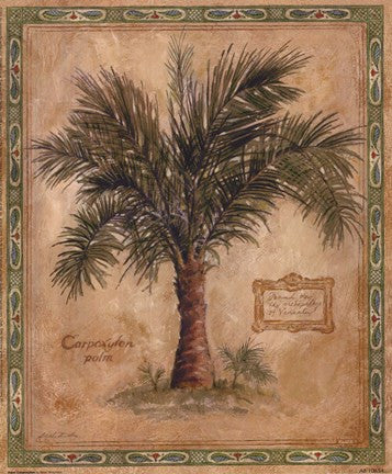 Palm Carpoxylon