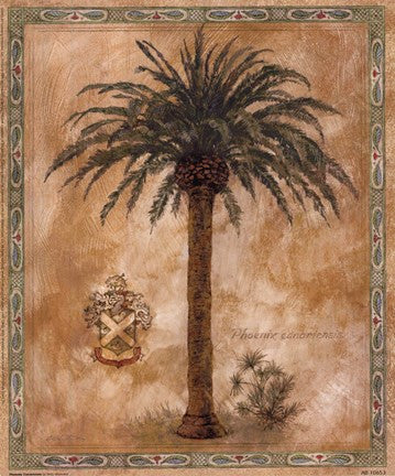 Phoenix Canariensis