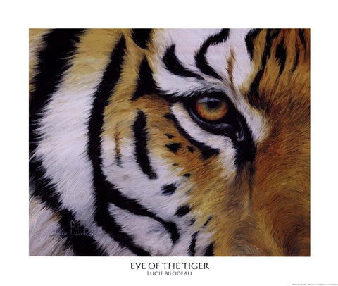 Eye of the Tiger