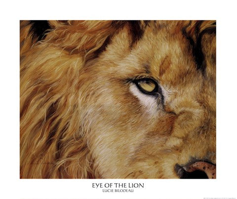 Eye of the Lion