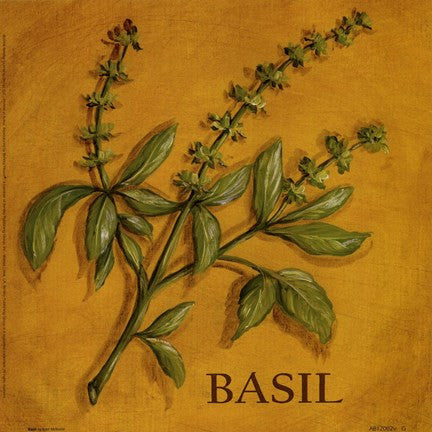 Basil