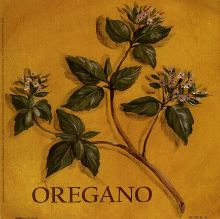 Oregano