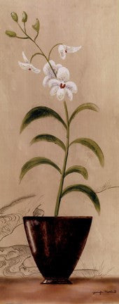 Asian Orchid I